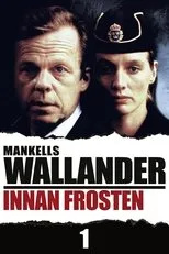 Póster de Innan Frosten