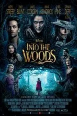 Póster de Into the Woods