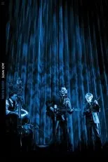Póster de Jack White: Acoustic in Alaska