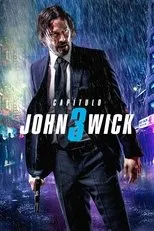 Póster de John Wick: Capítulo 3 - Parabellum