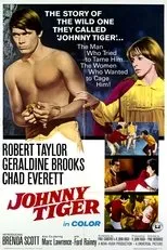 Póster de Johnny Tiger
