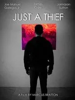 Póster de Just a Thief