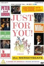 Póster de Just for You
