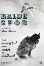 Póster de Kalde spor