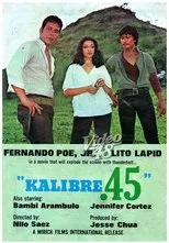 Póster de Kalibre .45