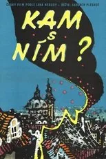 Póster de Kam s ním?