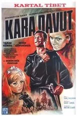 Póster de Kara Davut