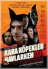 Póster de Kara Köpekler Havlarken