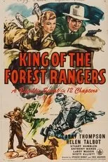 Póster de King of the Forest Rangers