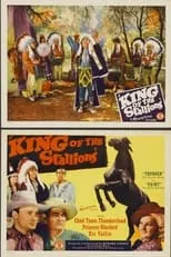 Póster de King of the Stallions