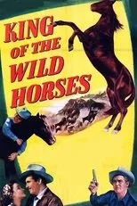 Póster de King of the Wild Horses