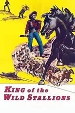Póster de King of the Wild Stallions