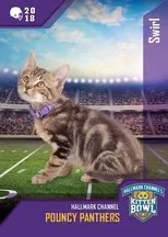 Póster de Kitten Bowl VIII Special