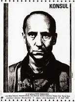 Póster de Konsul