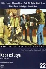 Póster de Kopaszkutya