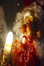 Póster de Krampus is Here