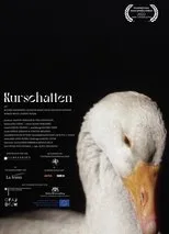 Póster de Kurschatten