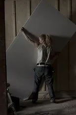 Póster de L'appartement