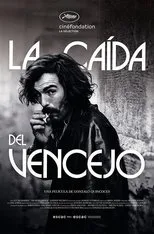 Póster de La caída del vencejo