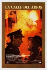 Póster de La calle del adiós