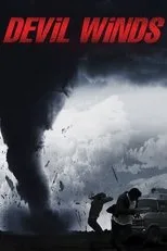 Póster de La furia del viento