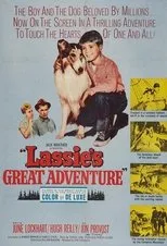 Póster de La gran aventura de Lassie