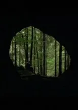 Póster de La Guitare de diamants