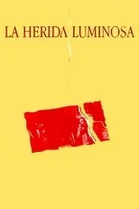Póster de La herida luminosa