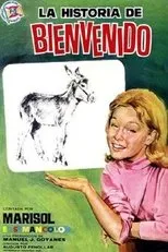Póster de La historia de Bienvenido
