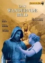 Póster de La imagen errante