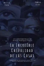 Póster de La Increíble Casualidad de las Cosas
