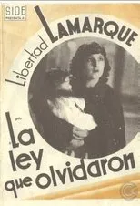 Póster de La ley que olvidaron