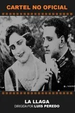 Póster de La llaga