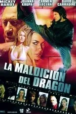 Póster de La maldición del dragón