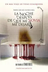 Póster de La noche después de que mi novia me dejara