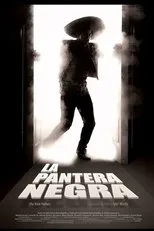 Póster de La pantera negra