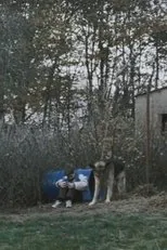 Póster de La peur, petit chasseur