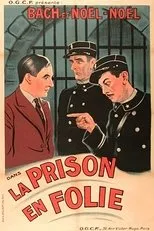 Póster de La prison en folie
