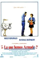 Póster de La que hemos armado
