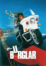 Póster de La ratera