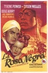 Póster de La rosa negra