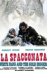 Póster de La spacconata