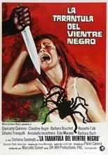 Póster de La tarántula del vientre negro