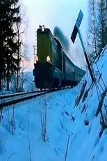 Póster de La Treizième Voiture