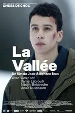 Póster de La Vallée
