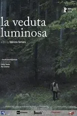 Póster de La veduta luminosa