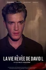 Póster de La vie rêvée de David L