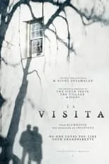 Póster de La visita