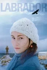 Póster de Labrador