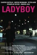 Póster de Ladyboy